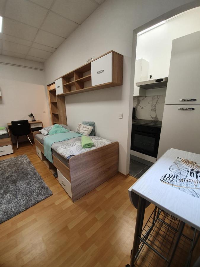 Maribor City Center Minidorm Apartment Ngoại thất bức ảnh